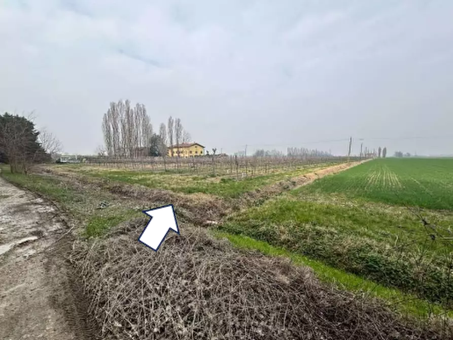 Immagine 3 di Terreno agricolo in vendita  in via Alessandro Tassoni a Bologna