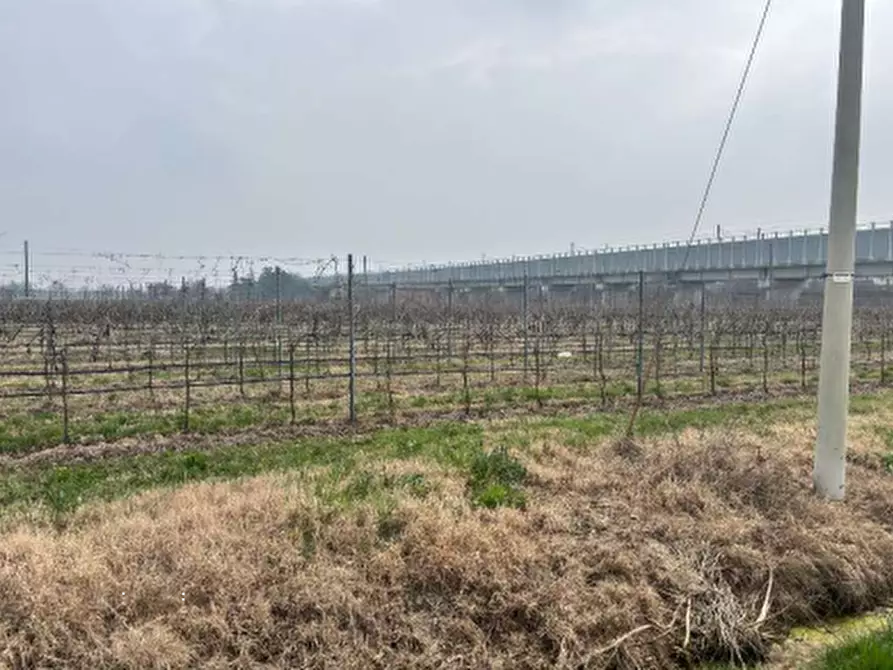 Immagine 4 di Terreno agricolo in vendita  in via Alessandro Tassoni a Bologna