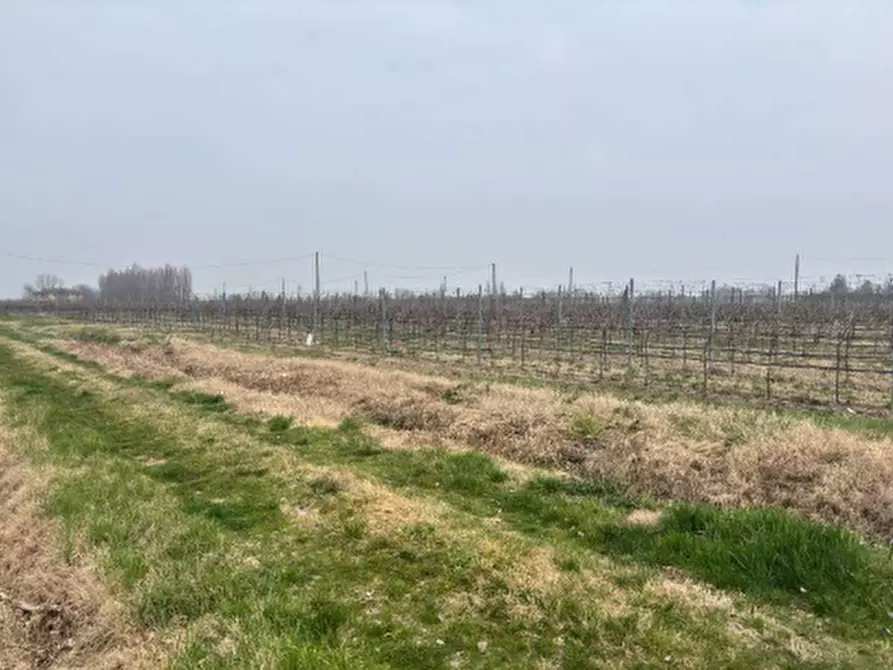 Immagine 5 di Terreno agricolo in vendita  in via Alessandro Tassoni a Bologna