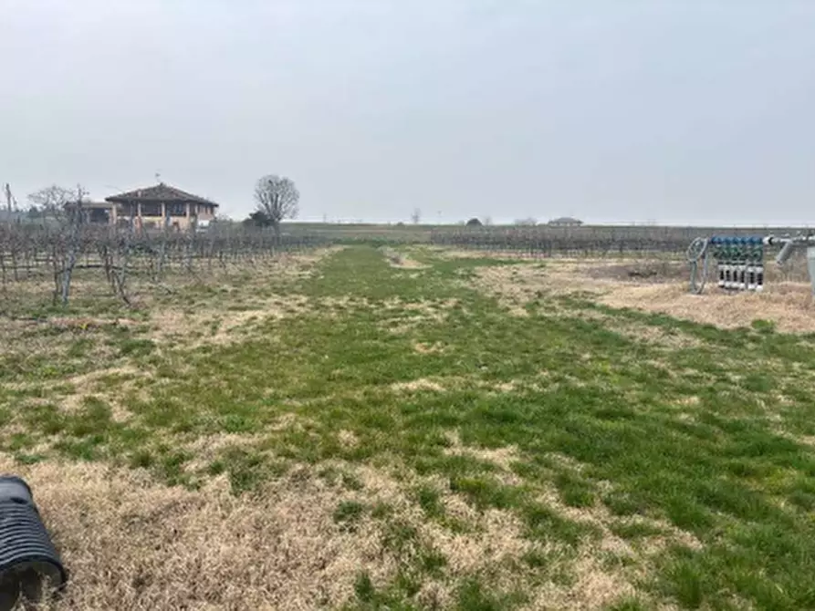 Immagine 7 di Terreno agricolo in vendita  in via Alessandro Tassoni a Bologna