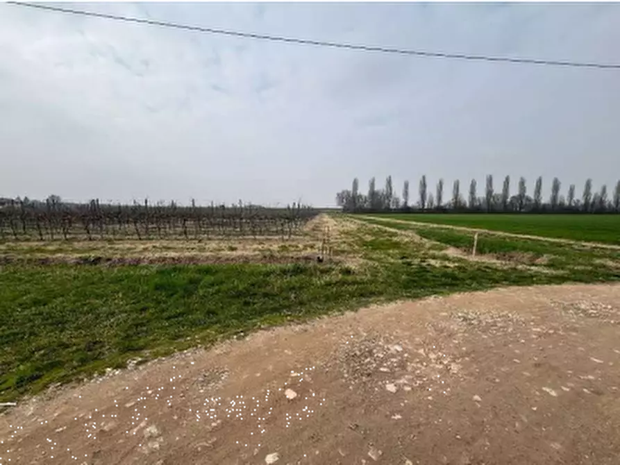 Immagine 8 di Terreno agricolo in vendita  in via Alessandro Tassoni a Bologna