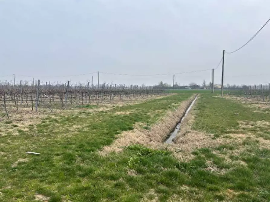 Immagine 9 di Terreno agricolo in vendita  in via Alessandro Tassoni a Bologna