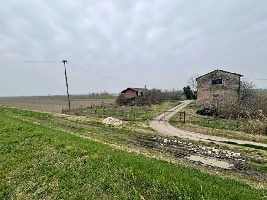Immagine 2 di Terreno agricolo in vendita  in via Cacciatori a Crevalcore