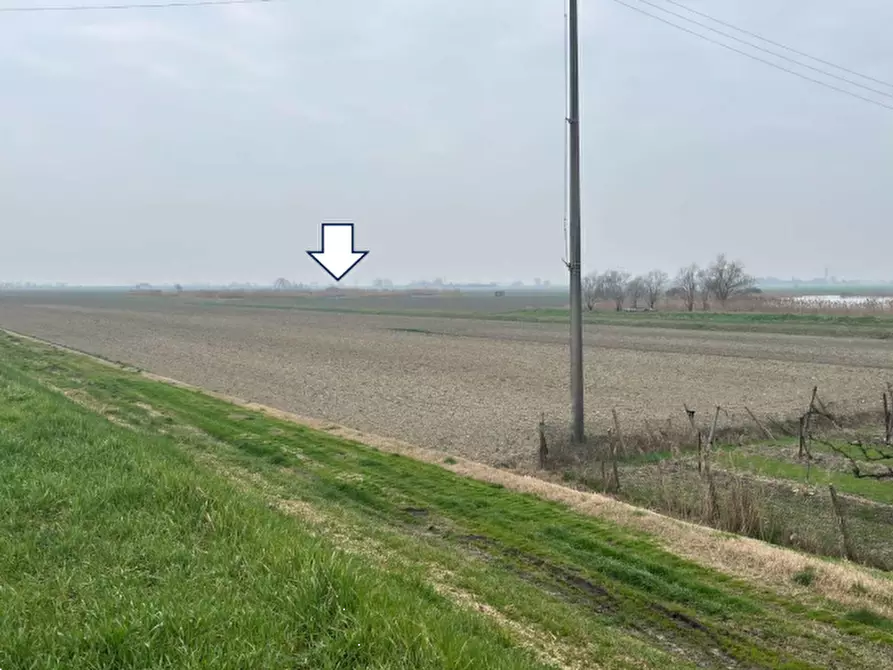 Immagine 3 di Terreno agricolo in vendita  in via Cacciatori a Crevalcore