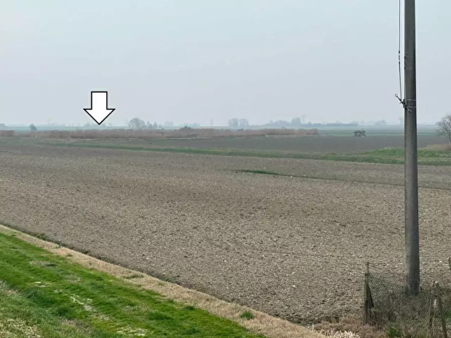 Immagine 4 di Terreno agricolo in vendita  in via Cacciatori a Crevalcore