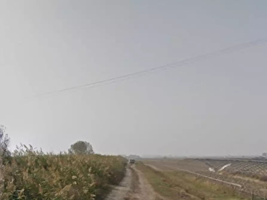 Immagine 6 di Terreno agricolo in vendita  in via Cacciatori a Crevalcore