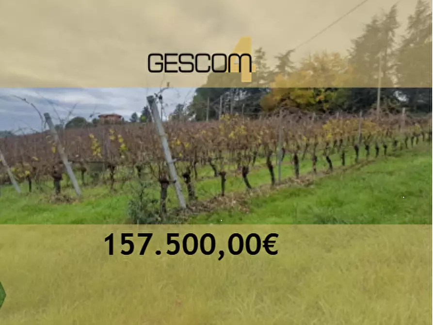 Immagine 1 di Terreno agricolo in vendita  in via Sabbioni a Imola