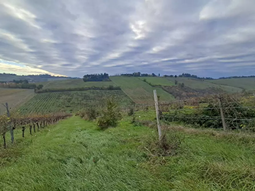 Immagine 5 di Terreno agricolo in vendita  in via Sabbioni a Imola