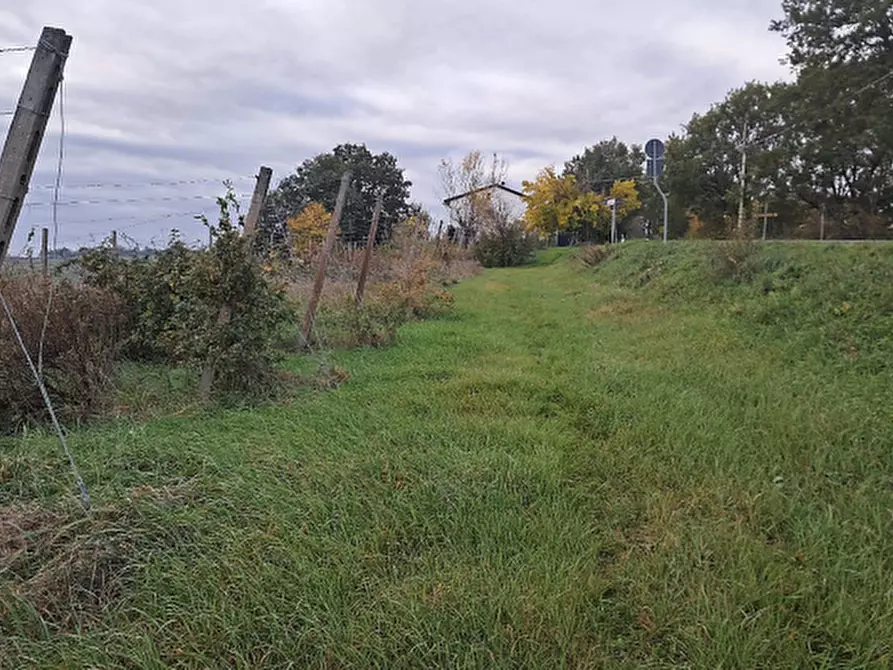 Immagine 8 di Terreno agricolo in vendita  in via Sabbioni a Imola