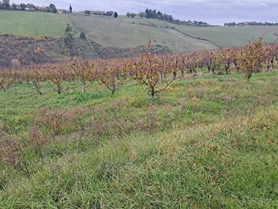 Immagine 10 di Terreno agricolo in vendita  in via Sabbioni a Imola