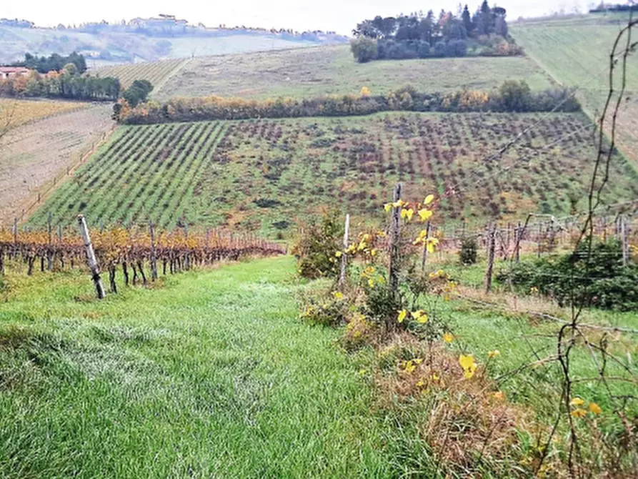 Immagine 11 di Terreno agricolo in vendita  in via Sabbioni a Imola