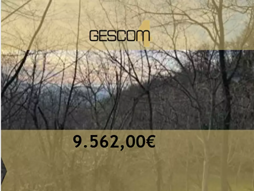 Immagine 1 di Terreno agricolo in vendita  in Località La Pilla a Monzuno