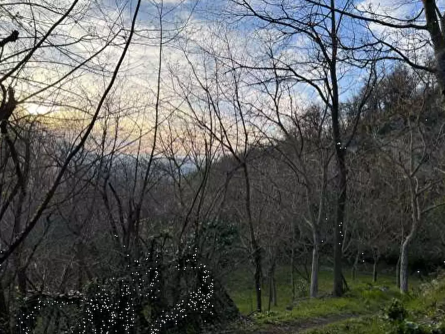 Immagine 2 di Terreno agricolo in vendita  in Località La Pilla a Monzuno
