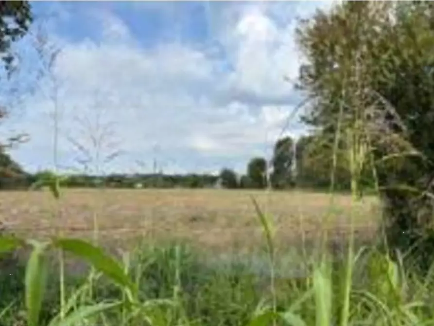 Immagine 2 di Terreno agricolo in vendita  in Traversa I di Via Vaccarolo a Desenzano Del Garda