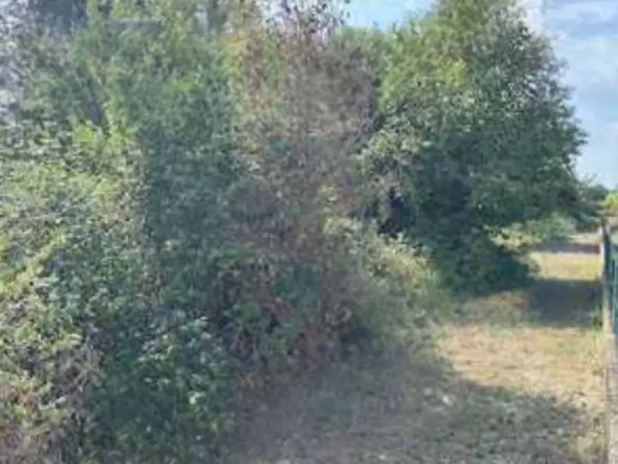 Immagine 3 di Terreno agricolo in vendita  in Traversa I di Via Vaccarolo a Desenzano Del Garda