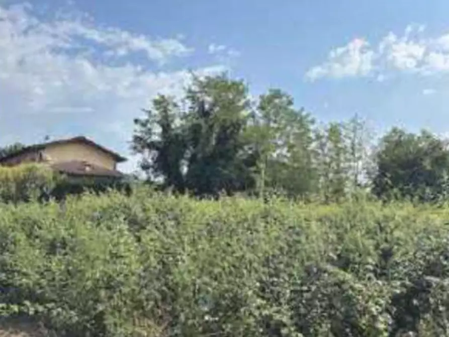Immagine 4 di Terreno agricolo in vendita  in Traversa I di Via Vaccarolo a Desenzano Del Garda