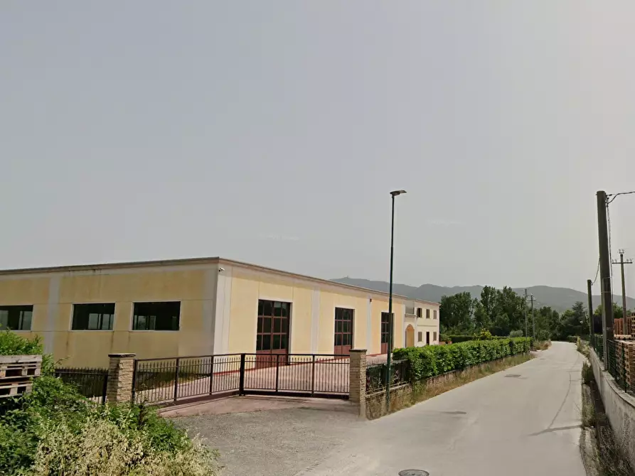 Immagine 7 di Capannone industriale in vendita  in viale ippocrate a Pesche