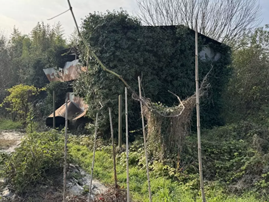 Immagine 3 di Villetta a schiera in vendita  in Via Villa Grandesso a Sossano