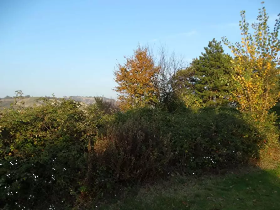 Immagine 2 di Terreno agricolo in vendita  in via Ponticelli Pieve a Imola