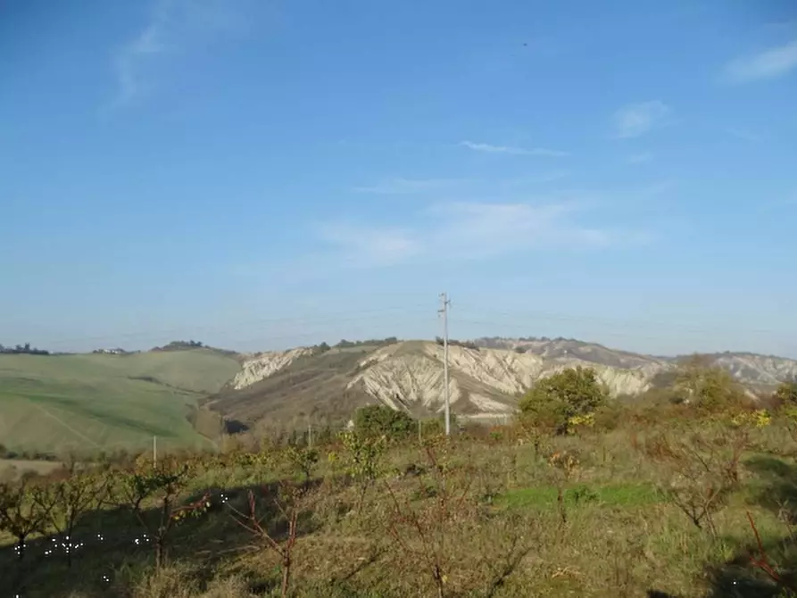 Immagine 3 di Terreno agricolo in vendita  in via Ponticelli Pieve a Imola