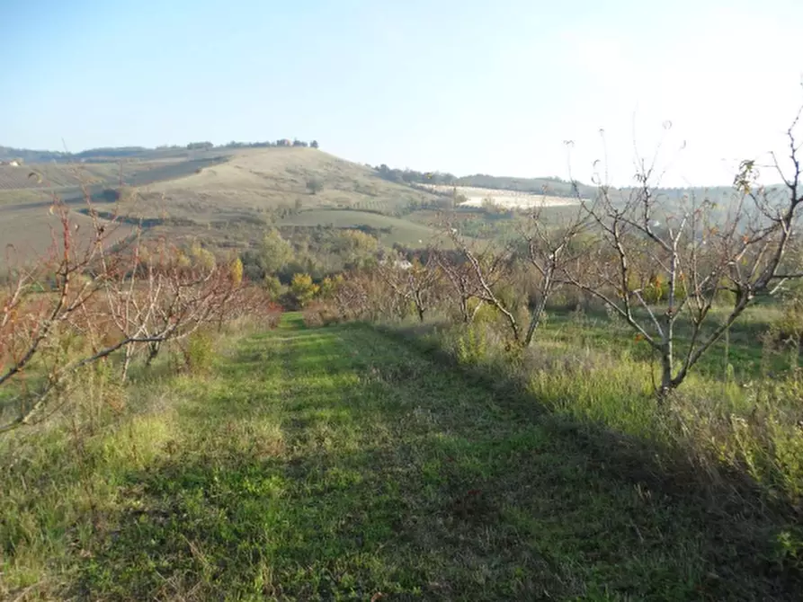 Immagine 6 di Terreno agricolo in vendita  in via Ponticelli Pieve a Imola