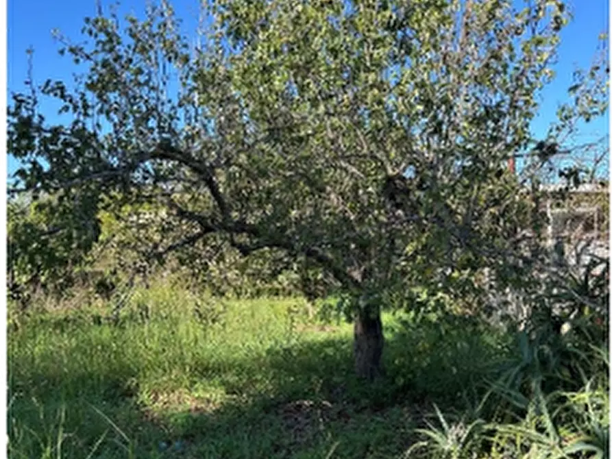 Immagine 7 di Appartamento in vendita  in Contrada Vignali  a Augusta