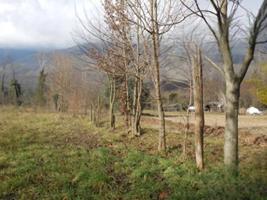 Immagine 6 di Terreno agricolo in vendita  in via giovanni minzoni a Aviano