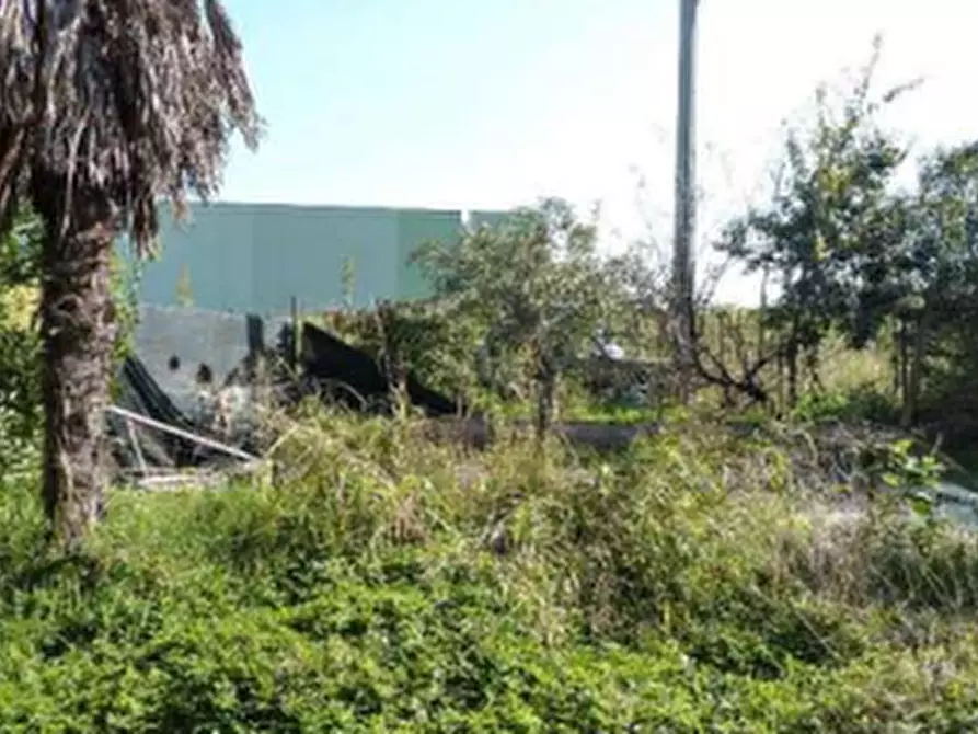 Immagine 5 di Porzione di casa in vendita  in Via Varana a Nogarole Rocca