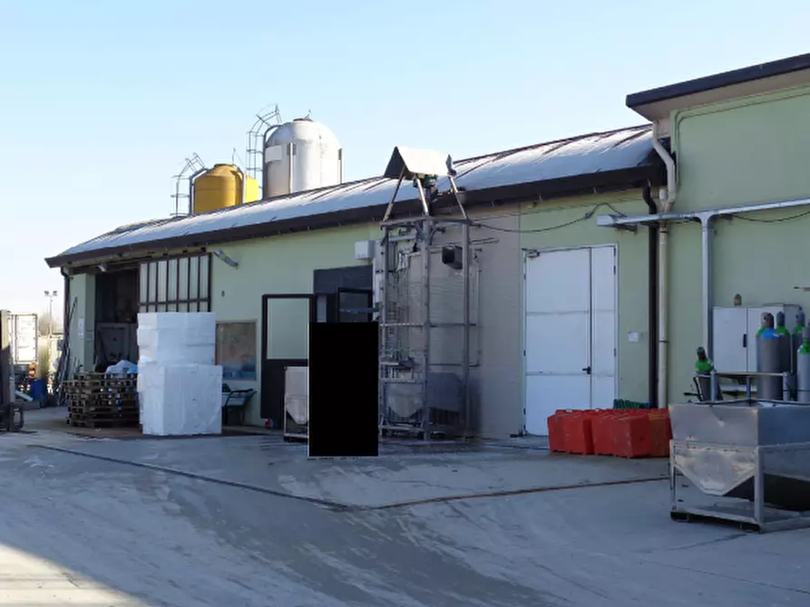 Immagine 3 di Capannone industriale in vendita  in Via dell'Isola a Treviso