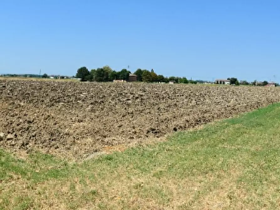 Immagine 5 di Azienda agricola in vendita  in Via Sarasina  a San Giovanni In Persiceto