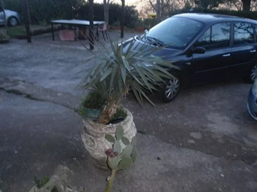Immagine 3 di Porzione di casa in vendita  in Contrada Pischiola a Civitanova Del Sannio