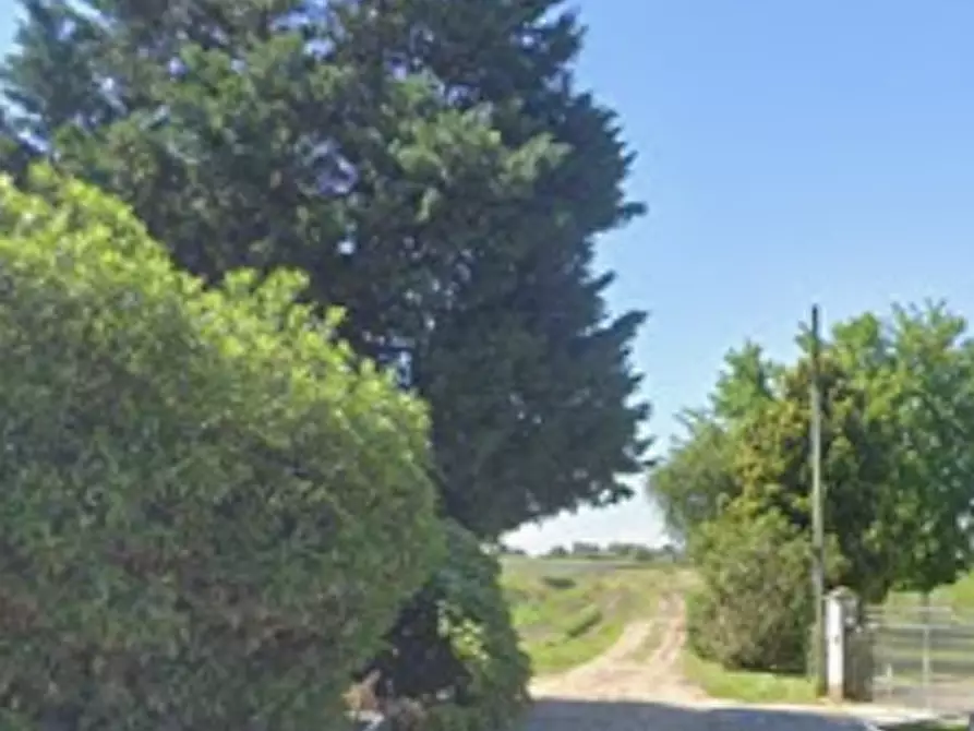 Immagine 9 di Appartamento in vendita  in Via Chiodare a Due Carrare