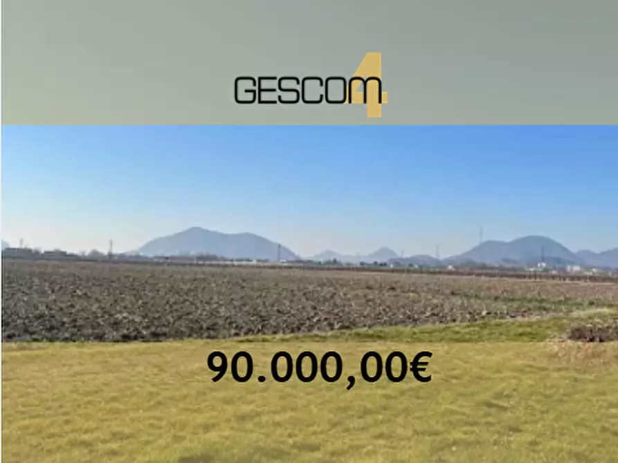 Immagine 1 di Terreno agricolo in vendita  in Via Chiodare a Due Carrare