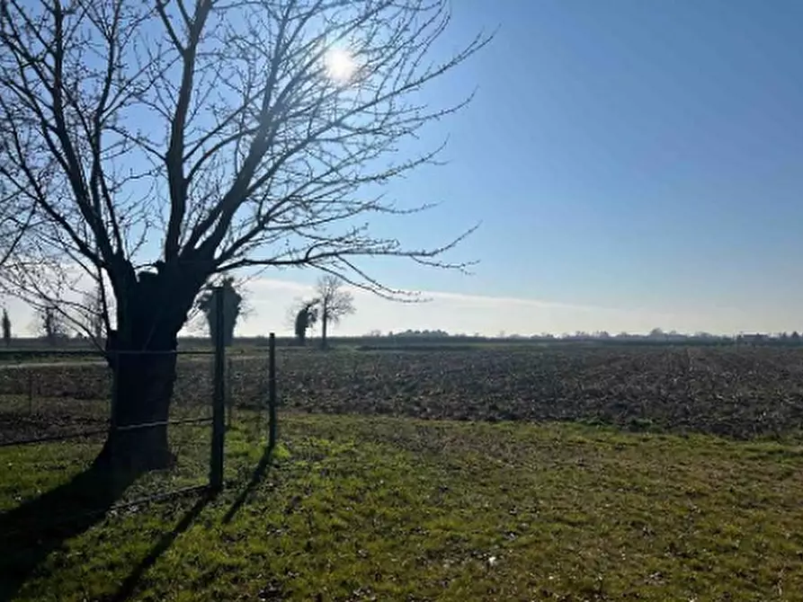 Immagine 2 di Terreno agricolo in vendita  in Via Chiodare a Due Carrare