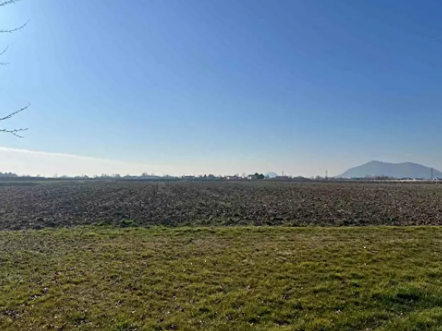 Immagine 3 di Terreno agricolo in vendita  in Via Chiodare a Due Carrare