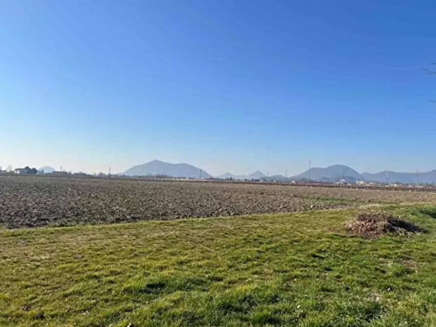 Immagine 4 di Terreno agricolo in vendita  in Via Chiodare a Due Carrare