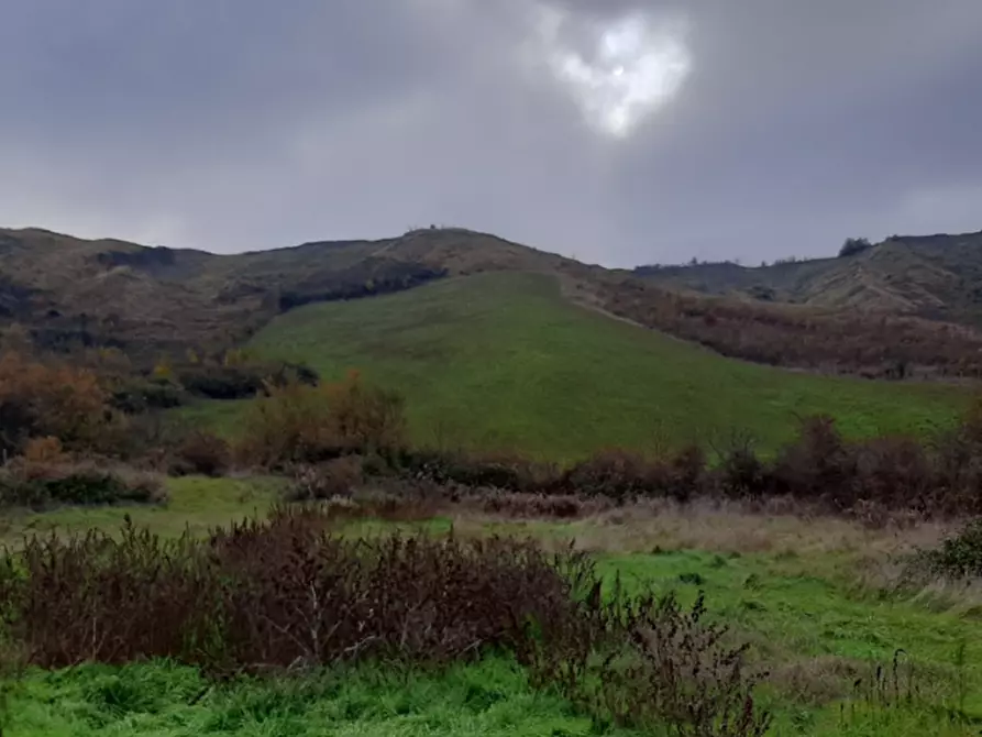 Immagine 2 di Terreno agricolo in vendita  in Via Rio Mescola a Borgo Tossignano