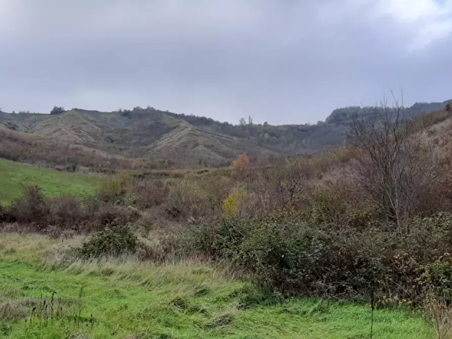 Immagine 3 di Terreno agricolo in vendita  in Via Rio Mescola a Borgo Tossignano