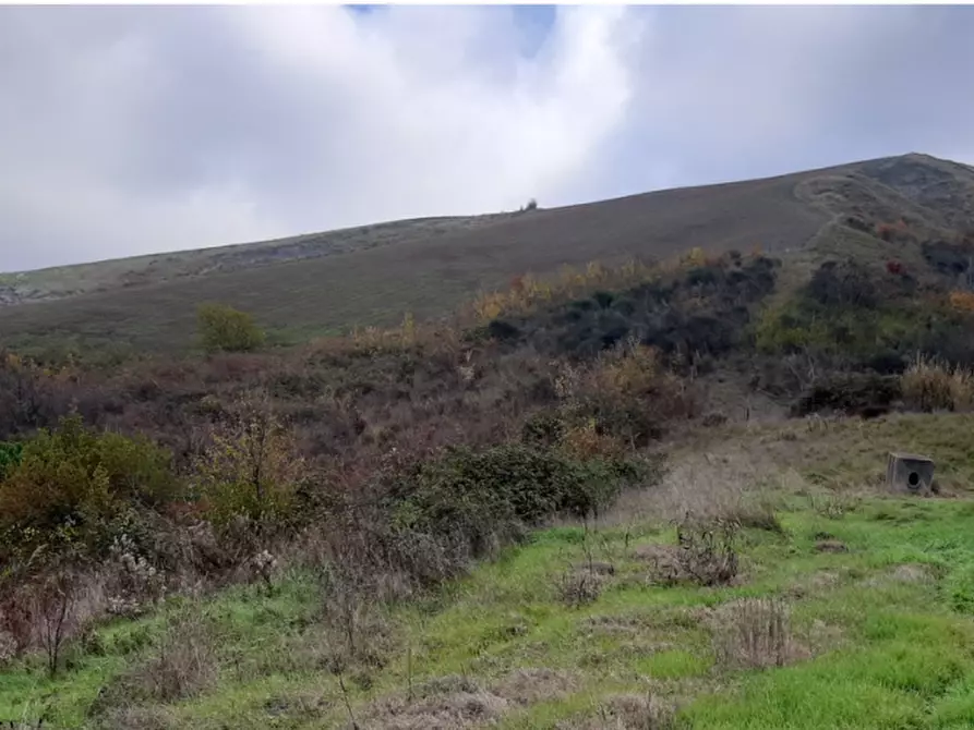 Immagine 5 di Terreno agricolo in vendita  in Via Rio Mescola a Borgo Tossignano