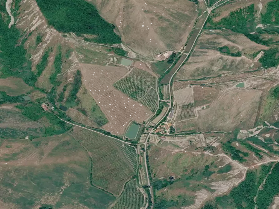Immagine 9 di Terreno agricolo in vendita  in Via Rio Mescola a Borgo Tossignano