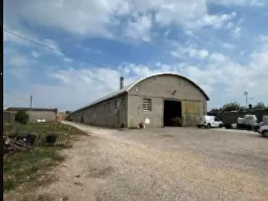 Immagine 3 di Capannone industriale in vendita  in Via Frescadella a Cerea