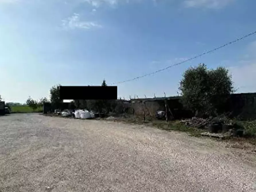Immagine 5 di Capannone industriale in vendita  in Via Frescadella a Cerea