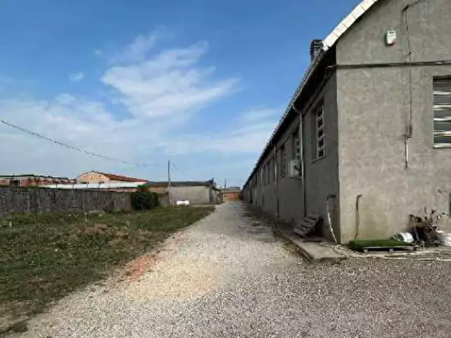 Immagine 6 di Capannone industriale in vendita  in Via Frescadella a Cerea