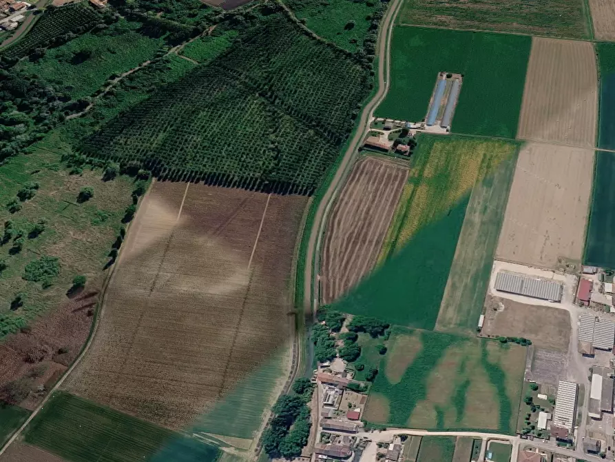 Immagine 9 di Capannone industriale in vendita  in Via Frescadella a Cerea
