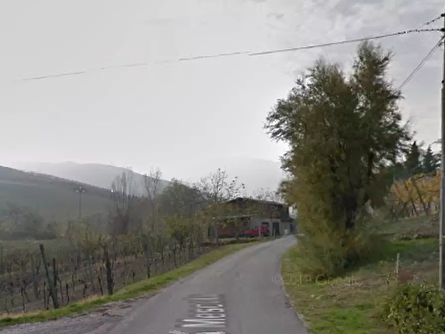 Immagine 7 di Terreno agricolo in vendita  in Via Rio Mescola a Borgo Tossignano