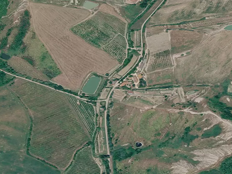 Immagine 8 di Terreno agricolo in vendita  in Via Rio Mescola a Borgo Tossignano