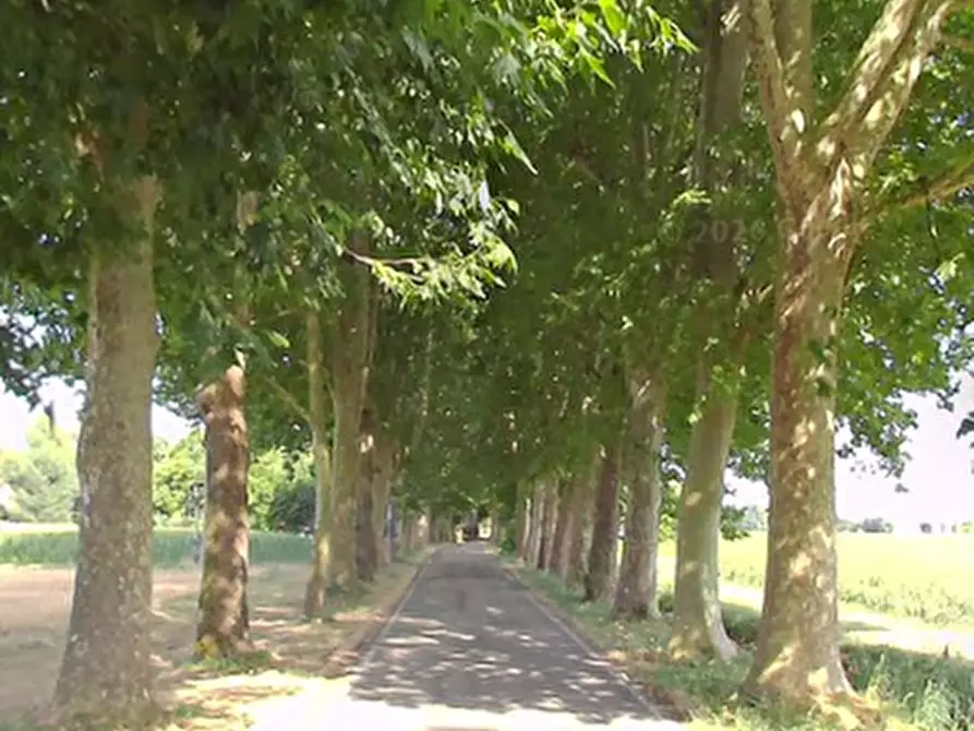 Immagine 4 di Porzione di villa in vendita  in via Casadio a Argelato