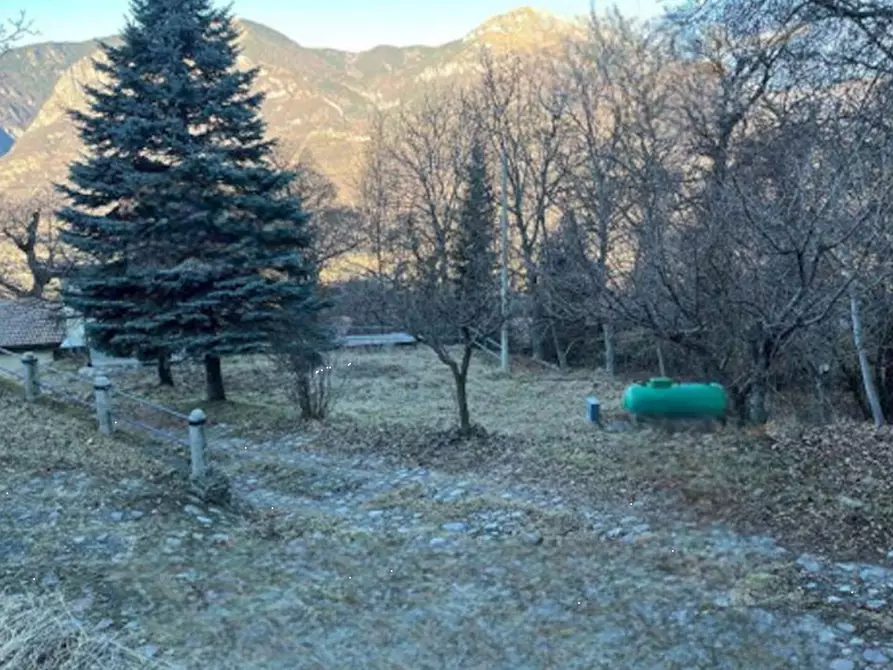 Immagine 2 di Terreno agricolo in vendita  in località Pian Camuno a Pian Camuno