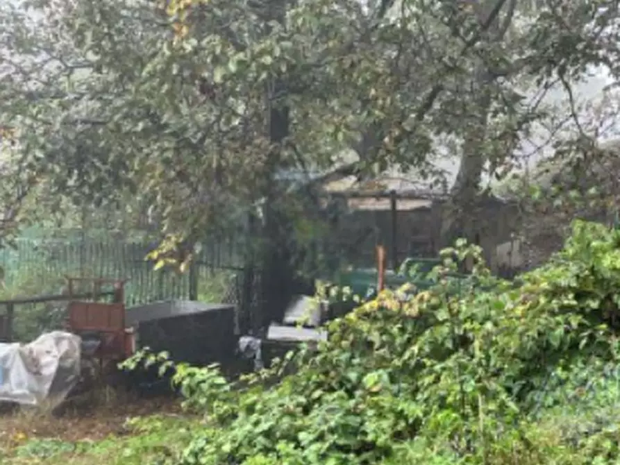 Immagine 3 di Terreno agricolo in vendita  in località Pian Camuno a Pian Camuno