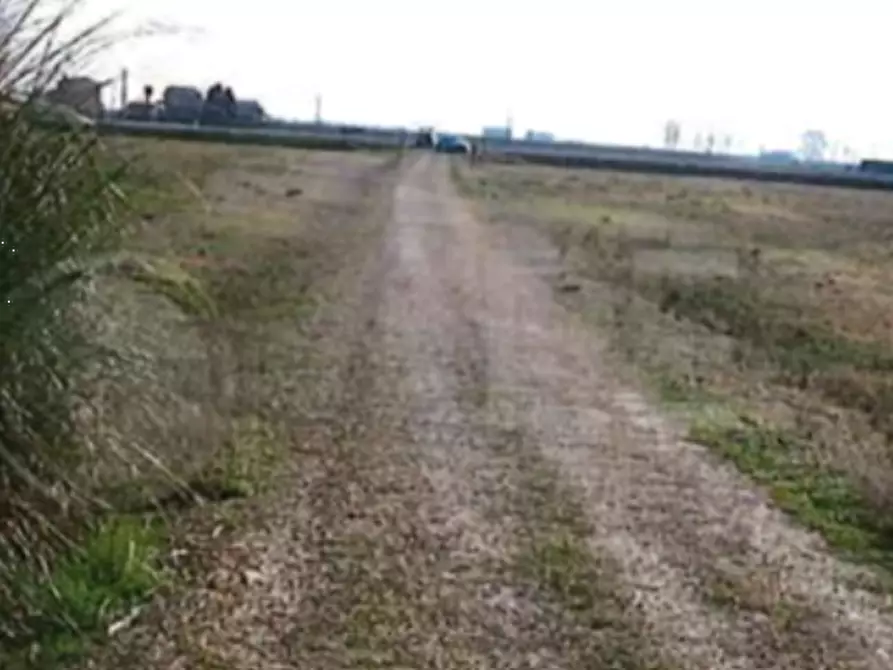 Immagine 2 di Terreno agricolo in vendita  in  Strada dei Piovini a Codevigo